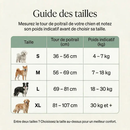 HARNAIS ANTI-TRACTION ELYO™