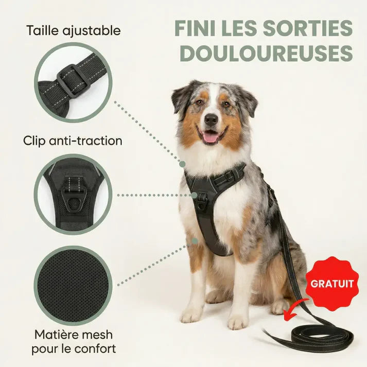 HARNAIS ANTI-TRACTION ELYO™