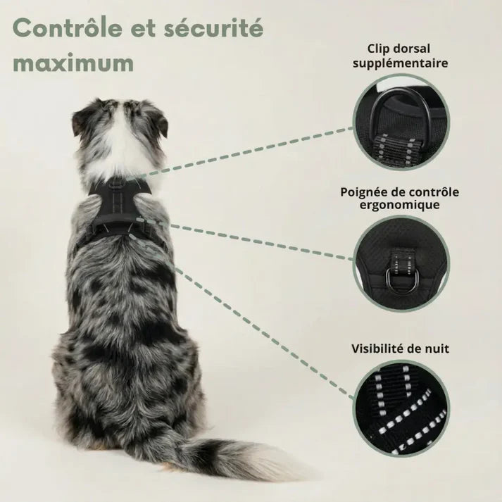 HARNAIS ANTI-TRACTION ELYO™