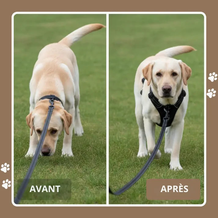 HARNAIS ANTI-TRACTION ELYO™